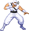 Stormshadow Widestance